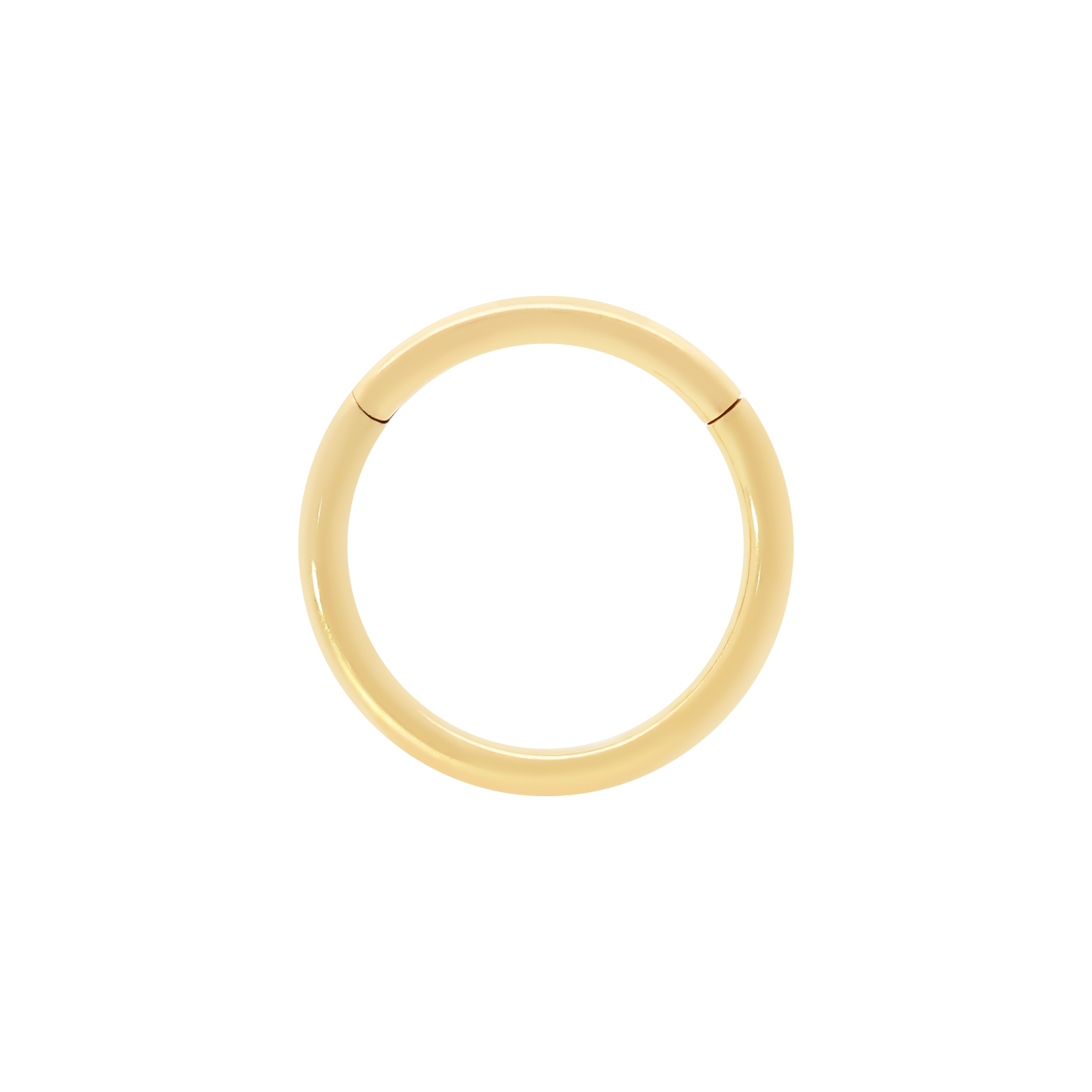 Segment Helix Conch Daith & Cartilage Hoop Piercing 18G - Gold