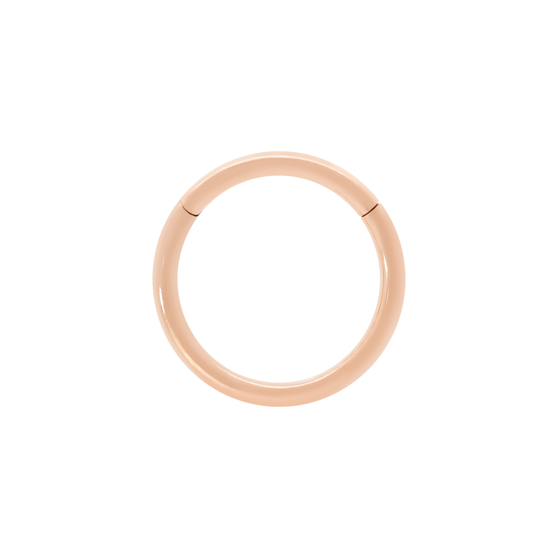 Segment Helix Conch Daith & Cartilage Hoop Piercing 18G - Rose Gold